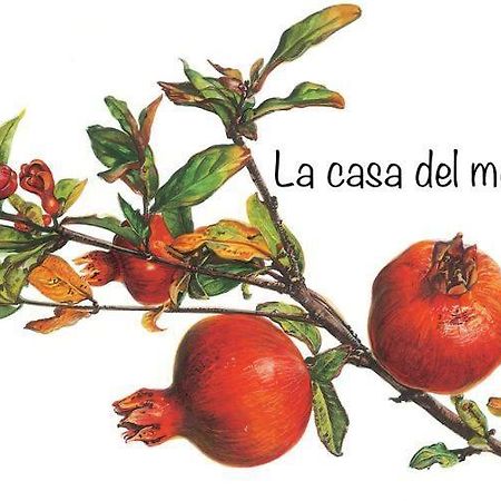 La Casa Del Melograno Lägenhet Alba  Exteriör bild