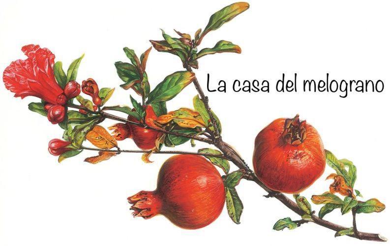 La Casa Del Melograno Lägenhet Alba  Exteriör bild